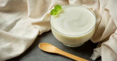 Gambar yang menampilkan sebuah yogurt yang tersaji kedalam mangkuk dan sebuah sendok