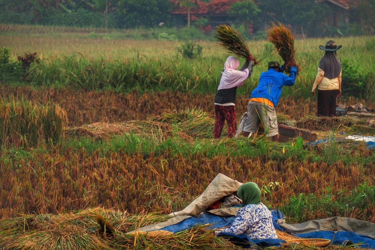 Transformasi Ekonomi Kukar Perkuat Sektor Pangan